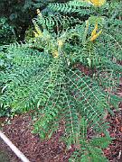 San Fran Vacation 134